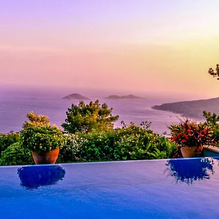 Infinity View