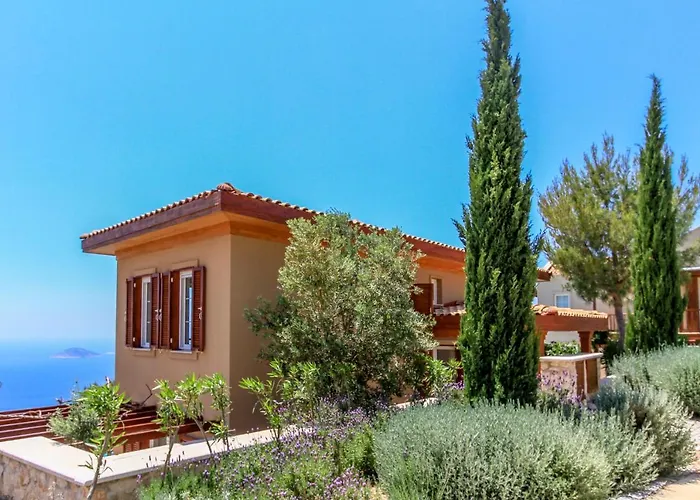 Villa Infinity View *